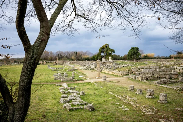 Paestum Les Ruines Antiques Vestiges Bâtiments Religieux Domination Grecque Antique — Photo