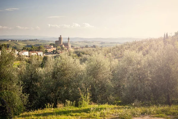 Vue Panoramique Ville Vinci Coucher Soleil Toscane Italie — Photo