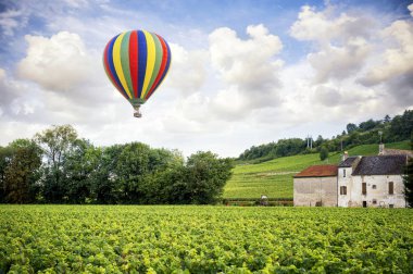 Burgundy. Sıcak hava balonu üzerinde şarap üzüm bağları. Fransa