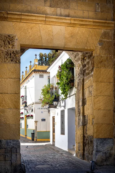 Cordoba Antica Strada Tipica Della Juderia Con Piante Fiori Andalusia — Foto Stock