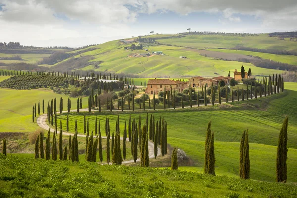 Toskansk kulle med raden av cypresser och bondgård. Toskanska landskapet. Italien — Stockfoto