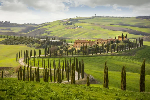 Colina toscana com fileira de ciprestes e fazenda. Paisagem toscana. Itália — Fotografia de Stock