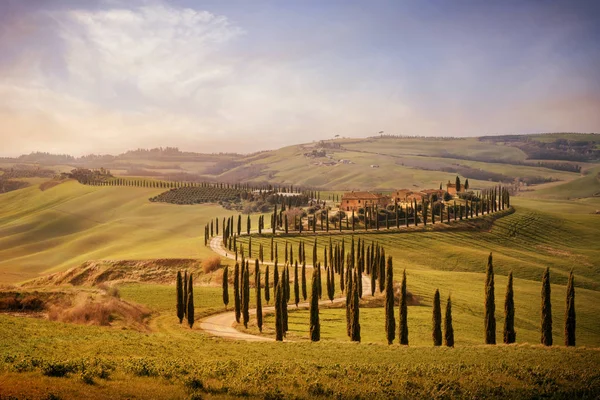 Toskanischen Hügel mit Zypressenreihen und Bauernhäusern bei Sonnenuntergang. toskanische Landschaft. Italien — Stockfoto