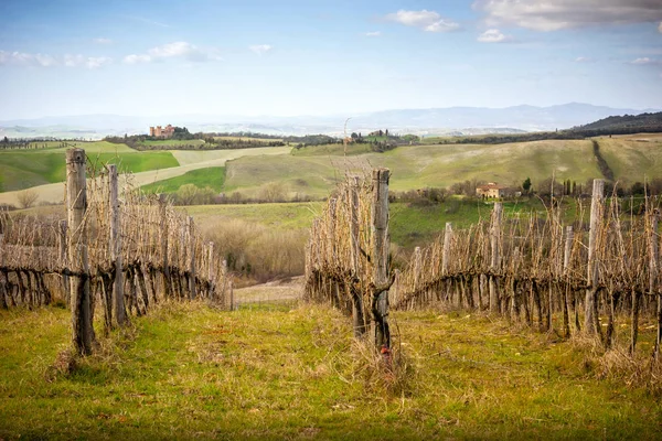 A Gallico-kastély megtekintése. Gyönyörű táj dombok és szőlőskert közelében Asciano Toszkánában, Siena, Olaszország — Stock Fotó