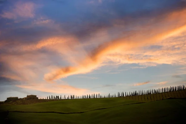 Colina toscana com fileira de ciprestes e quinta ao pôr-do-sol. Paisagem toscana. Itália — Fotografia de Stock