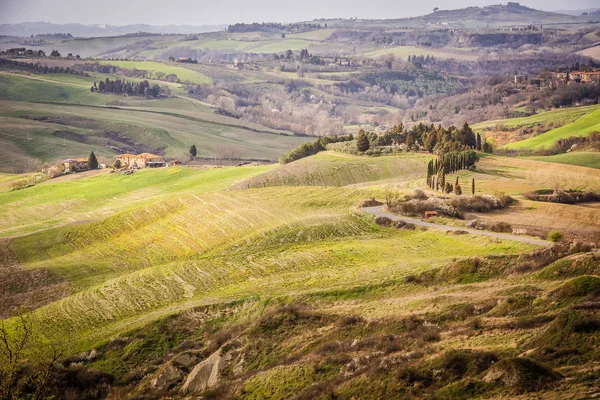 Colina toscana com fileira de ciprestes e fazenda. Paisagem toscana. Itália — Fotografia de Stock