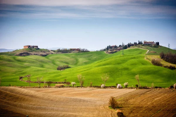 Toskansk kulle med raden av cypresser och bondgård. Toskanska landskapet. Italien — Stockfoto