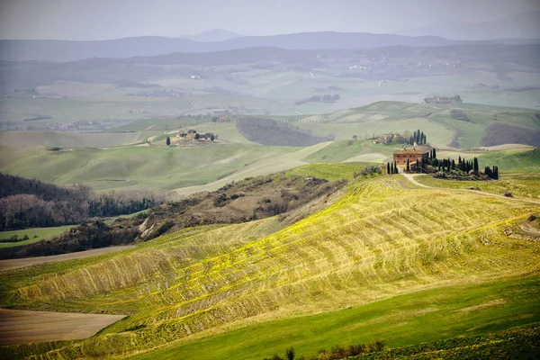 Colina toscana com fileira de ciprestes e fazendas. Paisagem toscana. Itália — Fotografia de Stock