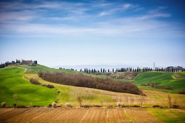 Collina toscana con filare di cipressi e casale. Panorama toscano. Italia — Foto Stock