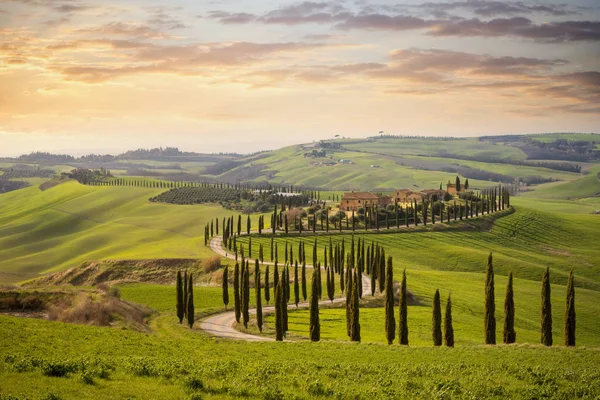 Toskanischen Hügel mit Zypressenreihen und Bauernhaus bei Sonnenuntergang. toskanische Landschaft. Italien — Stockfoto