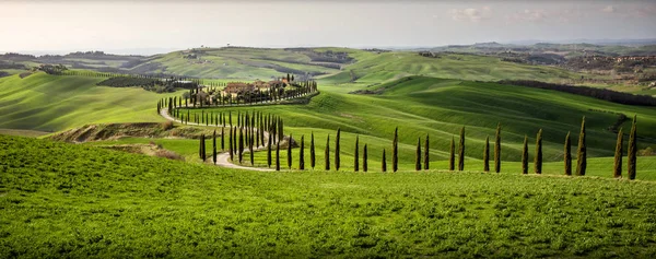 Colina toscana com fileira de ciprestes e quinta ao pôr-do-sol. Paisagem toscana. Itália — Fotografia de Stock