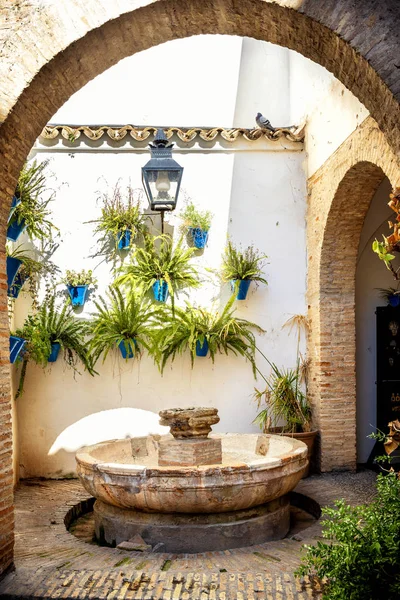 Córdoba: velha rua típica na Juderia com plantas e flores. Andaluzia, Espanha . — Fotografia de Stock