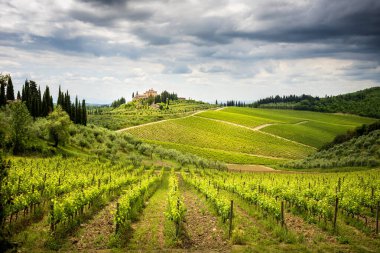 Üzüm bağı ve selvi ağacı olan Chianti tepeleri. Siena ve Floransa arasındaki Toskana manzarası. İtalya