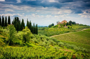 Üzüm bağı ve selvi ağacı olan Chianti tepeleri. Siena ve Floransa arasındaki Toskana manzarası. İtalya