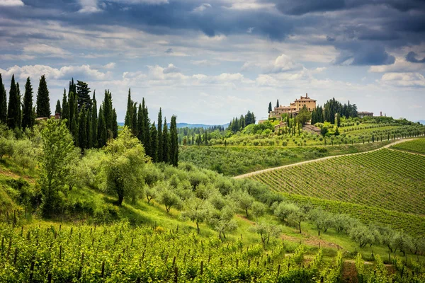 长有葡萄园和柏树的千山山 锡耶纳和弗洛伦斯之间的托斯卡纳风景 意大利 — 图库照片