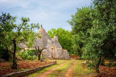 Zeytin bahçeli Trulli. Val d 'Itria - Puglia (Apulia) - İtalya