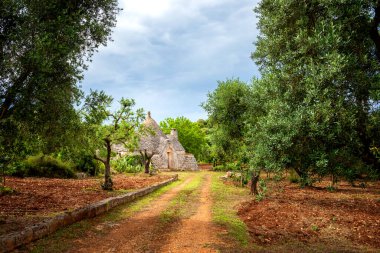 Zeytin bahçeli Trulli. Val d 'Itria - Puglia (Apulia) - İtalya