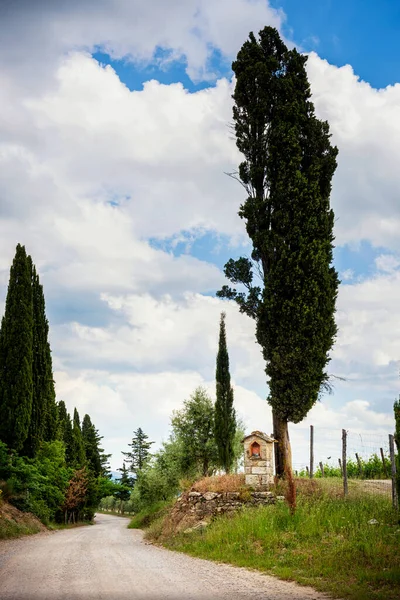 Αμπελώνες Chianti Στην Τοσκάνη Ιταλία — Φωτογραφία Αρχείου