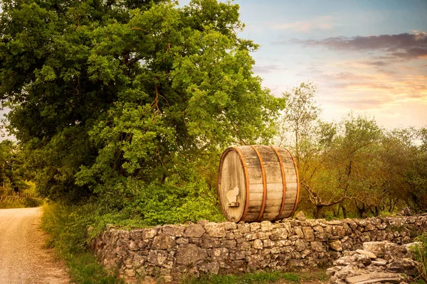Chianti Region Wine Barrel Stone Wall Vineyard Road Radda Chianti — Stock Photo, Image