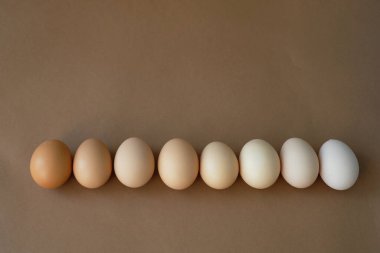Kahverengi arka planda doğal yumurtaların gölgeleri. Minimalizm kavramı. Pastel arka planda.