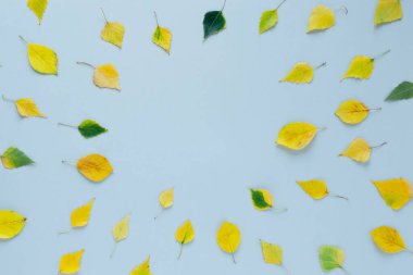 sonbahar izinlerinden oluşan sınır. Sarı yapraklar. Yüksek kalite fotoğraf