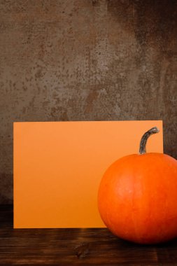 Karanlıkta balkabağı. Cadılar Bayramı havası. Yüksek kalite fotoğraf