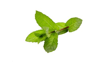 İzole edilmiş beyaz üzerinde nane şekeri