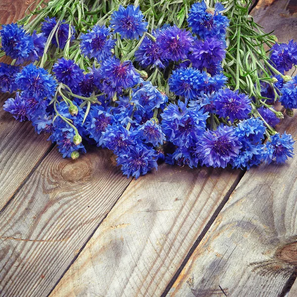 ブルー コーンフラワーの花束 — ストック写真