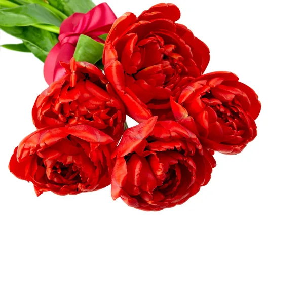 Букет Свежих Весенних Цветов Тюльпана — стоковое фото