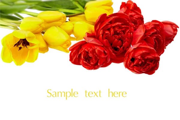 Μπουκέτο Από Φρέσκα Ανοιξιάτικα Λουλούδια Τουλίπας — Φωτογραφία Αρχείου