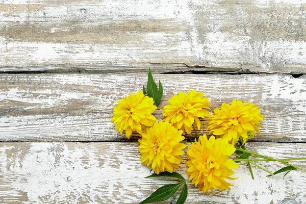 白い背景に新鮮な黄色の花の花束 — ストック写真