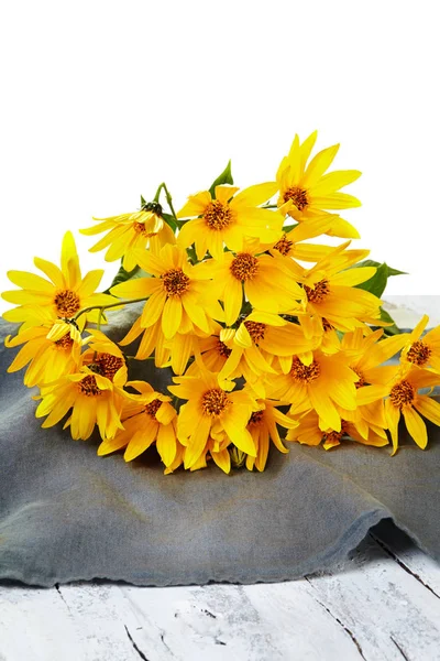 Beyaz Arka Planda Taze Sarı Çiçekler — Stok fotoğraf