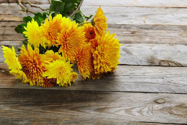 Chrysant Oude Houten Achtergrond — Stockfoto