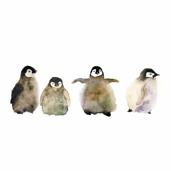watercolor hand drawn illustration of cute Penguin chicks in winter hats