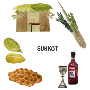 Sukkot, Yahudi tatil. Etrog, lulav, hadas, arava görüntü ile. Elle çizilmiş illüstrasyon.