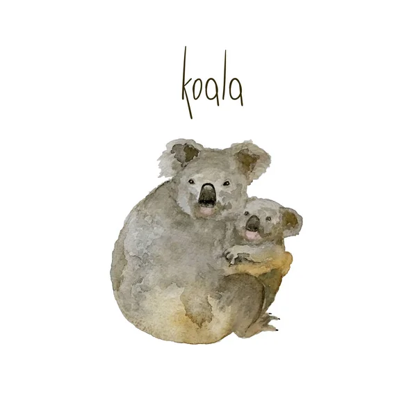 Koala Beer, moeder met kind, aquarel illustratie geïsoleerd op een witte achtergrond met ik hou van Australië. — Stockfoto