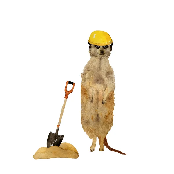 Meerkats de pé surikat. Ilustração desenhada à mão aquarela — Fotografia de Stock