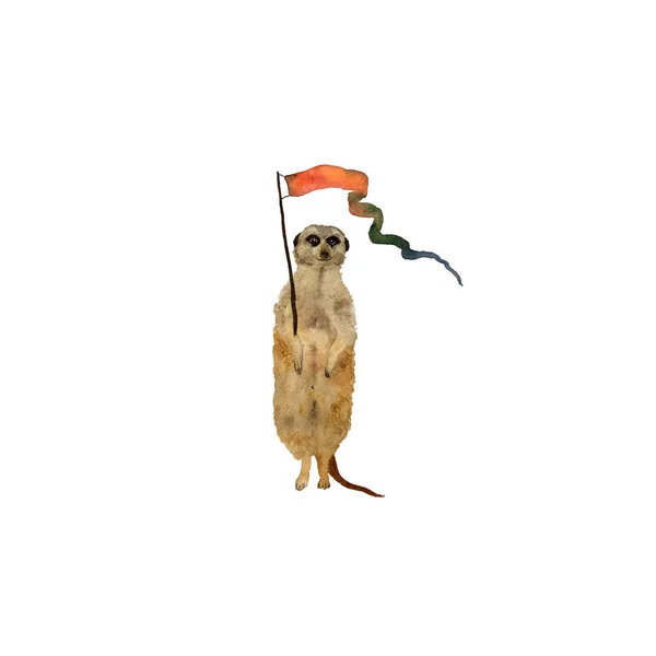 Στέκεται meerkats surikat. Ακουαρέλα χέρι εικονογράφηση — Φωτογραφία Αρχείου