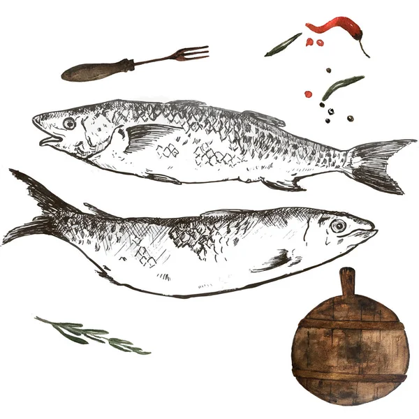 Esquisse d'illustration dessinée à la main Pilchard Sardine avec planche à découper aquarelle pour menus et cartes postales — Photo