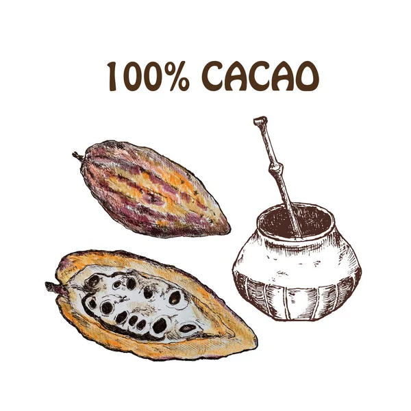 Dibujo dibujado a mano cacao conjunto de productos de chocolate. Ilustración vintage de alimentos naturales saludables. Lápices de colores — Foto de Stock