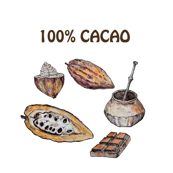 Set di prodotti di cioccolato al cacao disegnato a mano. Illustrazione vintage di cibo sano naturale. Matite colorate — Foto Stock