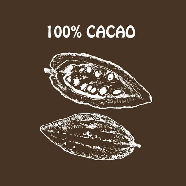 Conjunto de produtos de chocolate de cacau desenhado à mão. Ilustração vetorial vintage de alimentos saudáveis naturais para menus e infográficos — Vetor de Stock