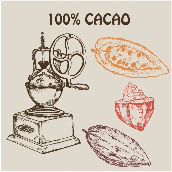 Molinillo de mano retro de café con frutas de cacao, café molido y semillas. Ilustración vectorial dibujada a mano. Boceto de tinta para menús, tarjetas y plantillas — Vector de stock