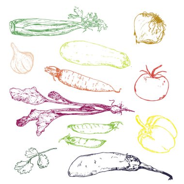 Sebze vitamin ve ekolojik vektör arka plan. Elle çizilmiş çizim sebzeleri. Vegan ürünler, eko restoran menüsü, çiftçi pazarı ve organik gıda deposu için kullanılabilir.