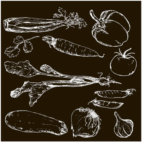 Verdure bianche su schizzo di inchiostro disegnato a mano nera. Serie di varie verdure. Schizzi di diversi alimenti ecologici. Isolato su verdure bianche . — Vettoriale Stock