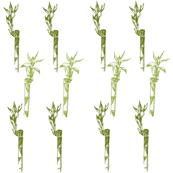 Green bamboo leaves, branches and stems sketch vector pattern. Go green and use eco bamboo. Ecological hand drawn illustration of chineese bamboo. — Stock Vector