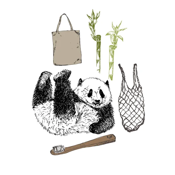 Esboço Panda e bambu eco produção, escova de toth, sacos sem ilustração vetorial de plástico. Grave tinta desenhada panda. Bambu orgânico ecológico, sem plástico, sem conceito de desperdício . — Vetor de Stock
