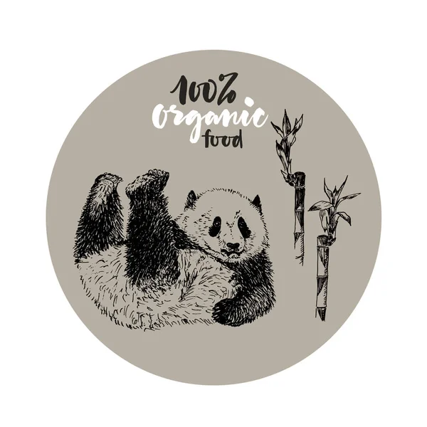 Skiss Panda med bambu vektor illustration organiskt emblem. Graverad Ink Drawn Panda illustration. Handritade Panda Bear. Eco ekologisk bambu, ingen plast, inget avfall koncept. — Stock vektor