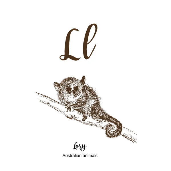 Lori Lemur, A till z, alfabetet skiss australiska djur ritning vektor illustration. Vintage hand dras med bokstäver. Klar för utskrift. Bokstaven L för Lori. Abc. — Stock vektor