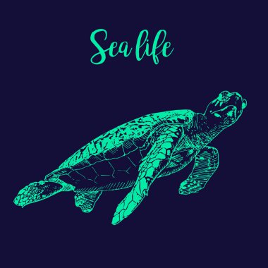 Deniz kaplumbağası - su altında yüzen deniz kaplumbağası çizim kroki. Vahşi okyanus kaplumbağa el çizilmiş vektör illüstrasyon neon mavi koyu mavi arka plan üzerinde.